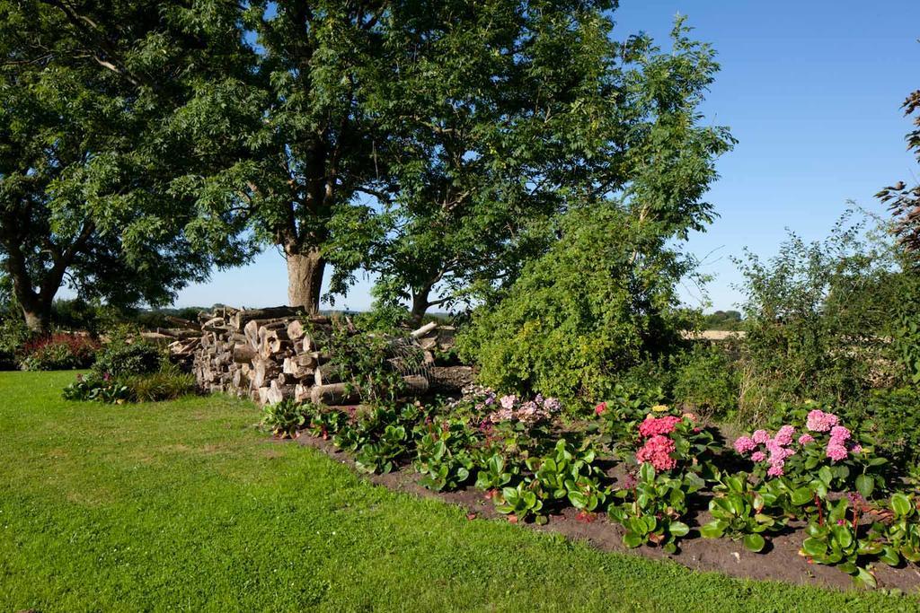 Kiekutsland Westerholz Exterior foto